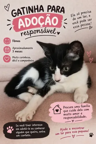 Filhote fêmea em situação de risco-Para adoção (consciente)