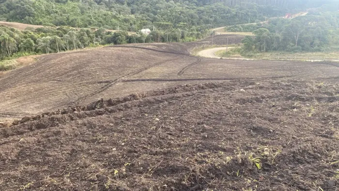 Imóvel para venda possui 31000 metros quadrados em Caeté - Alfredo Wagner - SC