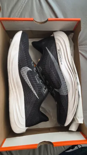 Tênis Nike Pegasus Plus - Nr 42 