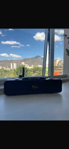FLAUTA TRANSVERSAL EAGLE FL 03N