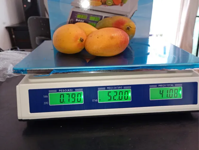 Balança Eletrônica Digital com Bateria Embutida Pesa Até 40 Kg Bivolt Alta Precisão Pesage