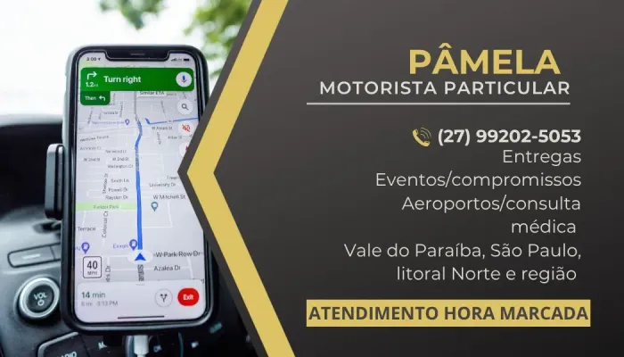 Motorista Particular