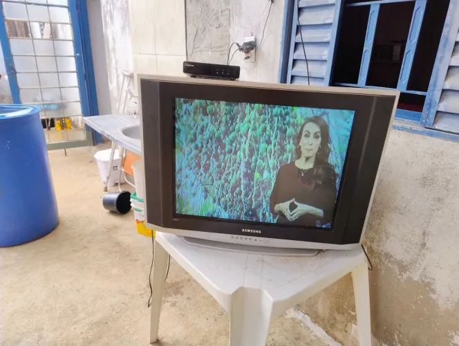 TV de tubo 29 polegadas