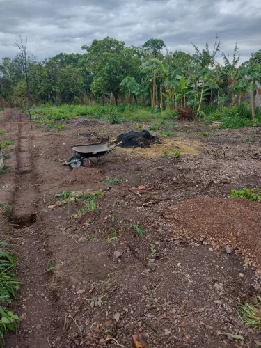Vendo terreno na região do sucuri 