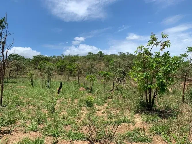 Terreno rural 7.8ha,casa,barracão,arvores frutíferas,2 nascentes,2 lagoas, Jaboticatubas.
