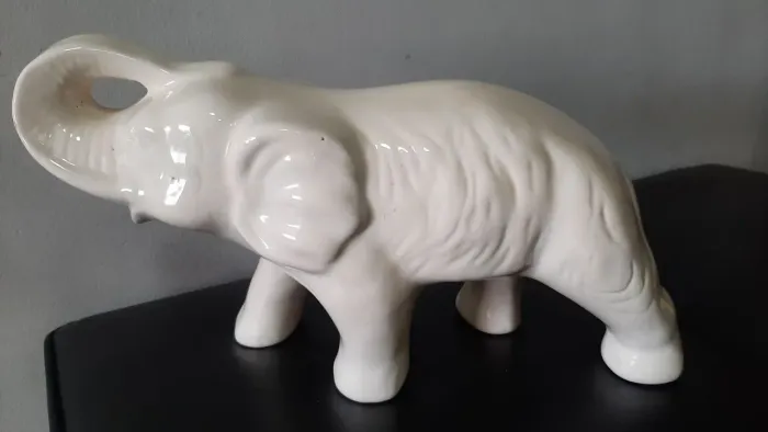 Elefante branco