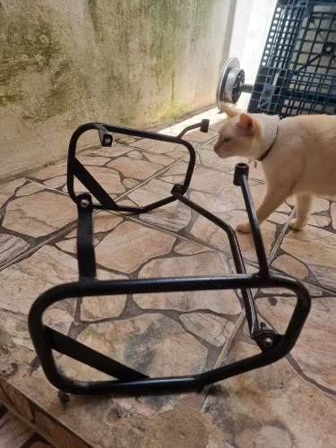 ALFORGE LANDER 2019 A 2023