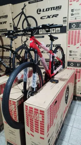 Bicicleta Houston aro 29
