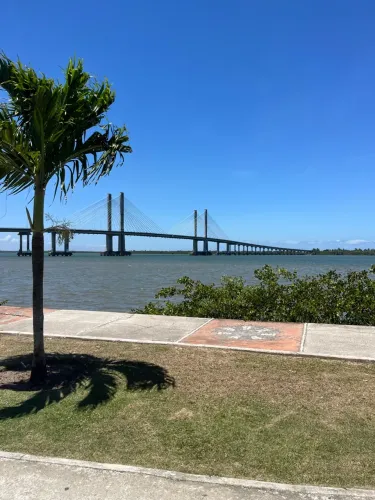 Companhia para conversar, passear e descontrair