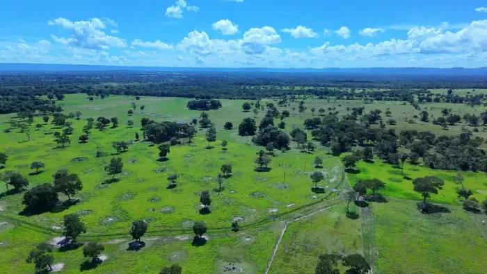 Fazenda a venda em Cuiaba MT
