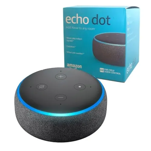 echo dot alexa