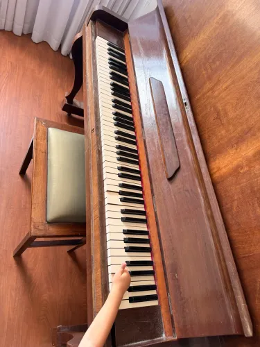 Vendo piano F.Dörner & Sohn em Ótimo estado de conservação.