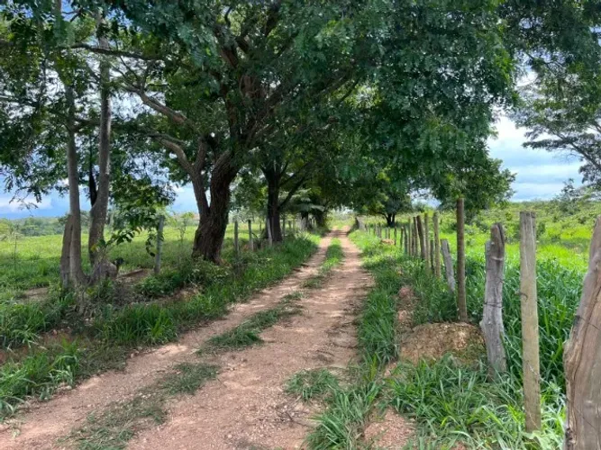 Fazendinha 5.5 ha, piscina, córrego, terra de cultivo e casa. Jaboticatubas.
