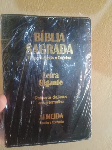 Bíblia Sagrada Letra Gigante