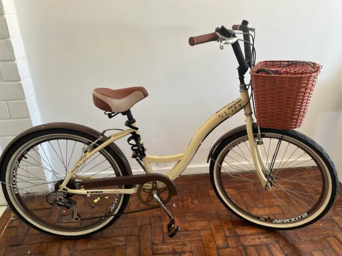 Bicicleta Vintage