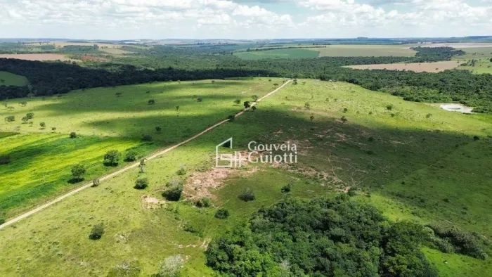 Fazenda de 36 alqueires, Plana e 100% Formada Rica em Água