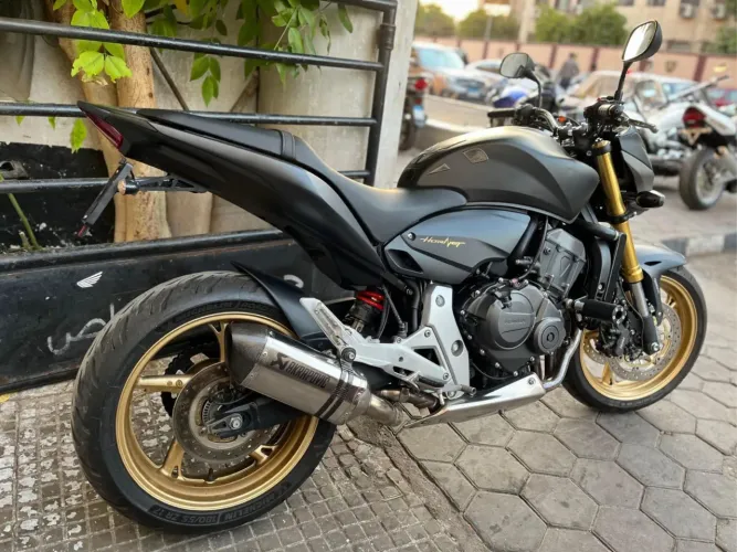 Hornet 2013