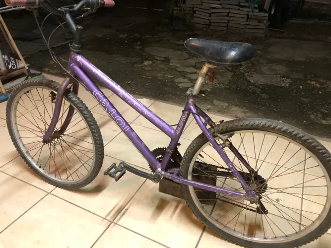 Bicicleta