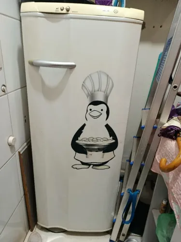 Geladeira Pequena 