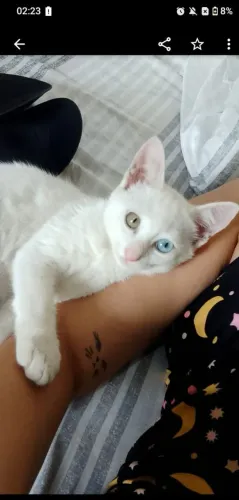 Doação