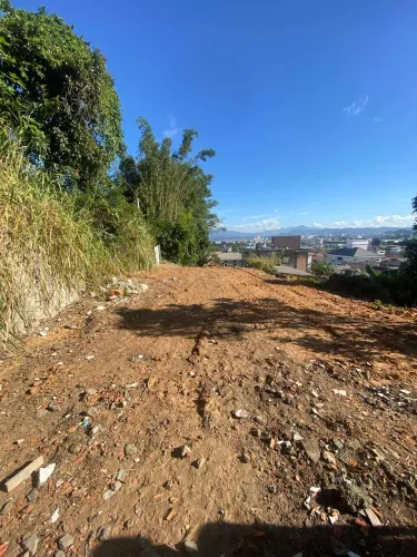 Terreno 233m² à Venda em Fazenda Santo Antônio - São José