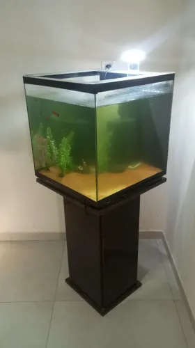 Aquário