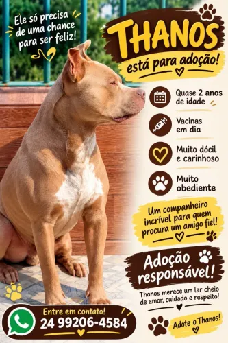 Adoção responsável Thanos