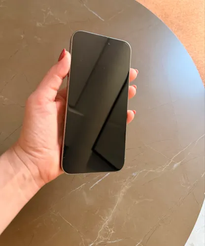 iPhone Pro Max 256Gb