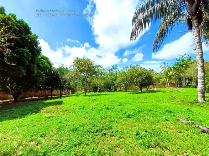 Sítio Terreno Chácara KM 08 BR 174 Ramal da Capivara Manaus-AM 7.139m² Financia