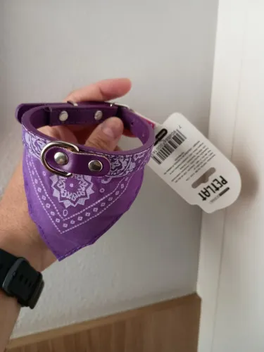 Coleira com bandana petlat