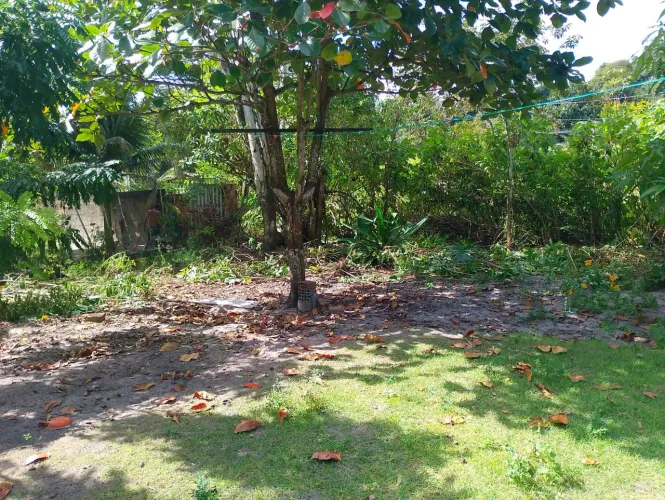 Terreno em um sítio para venda
