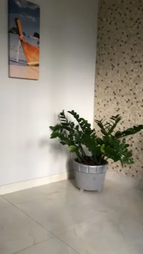 Aluguel apartamento