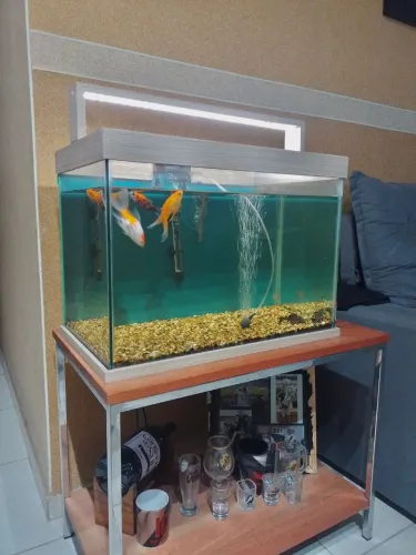 AQUÁRIO COM LED 84LITROS ACOMPANHA MESINHA + BOMBA + TERMOSTATO
