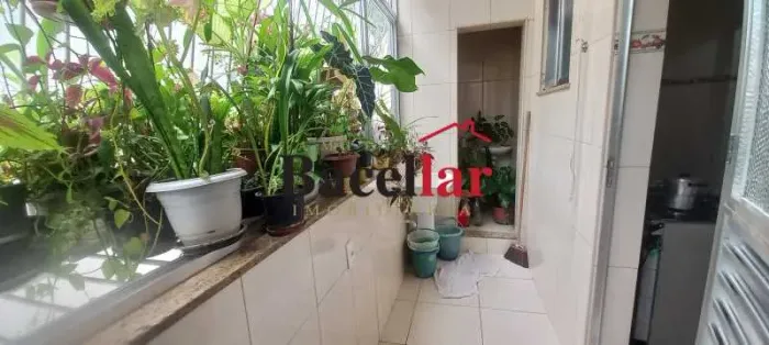 Apartamento : Padrão / Residencial / Grajaú