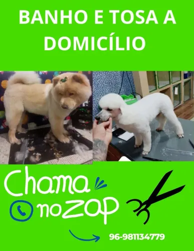Atendimento a domicílio
