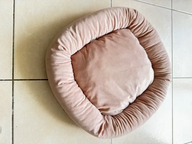 Acessório de Pet 