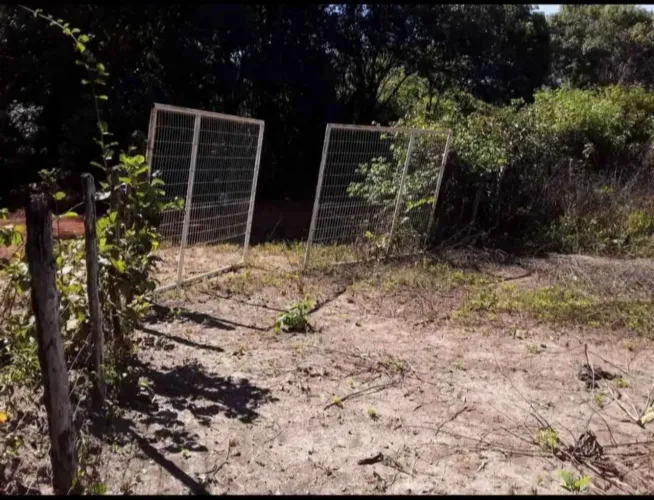 Vendo terreno na cidade de altos ótimo para sítio ou chácara medindo 50 por 100