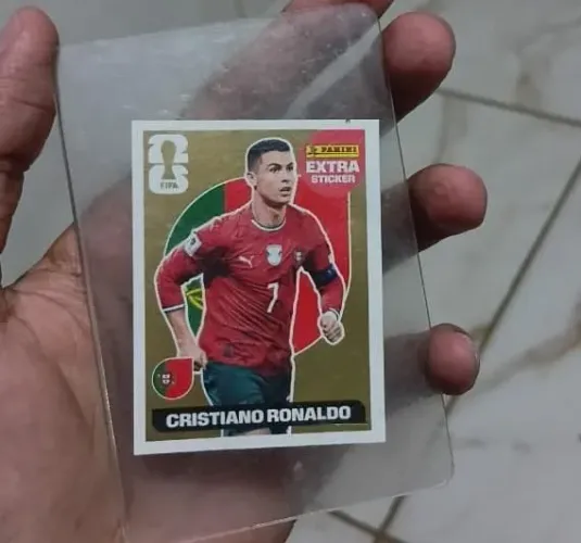 Figurinha da copa aceito propostas