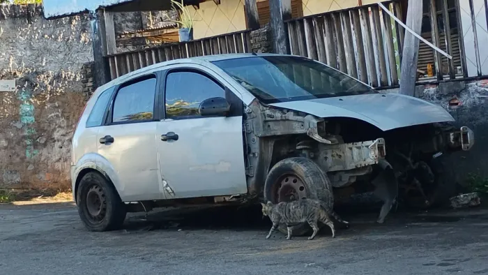 Sucata venda de peças do fiesta baiano