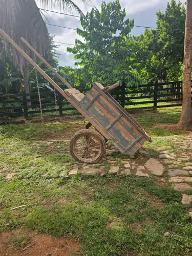 Carroça tração animal