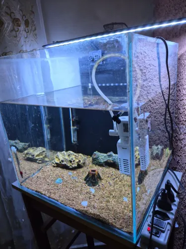 Aquario completo de 70 litros
