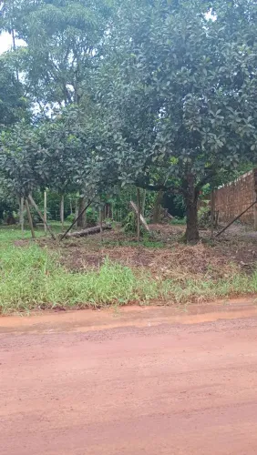 Venda de terreno em Sto Antônio do Tauá. Igarapé próximo.