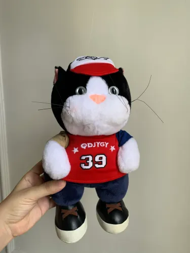 Pelúcia gato de sapato