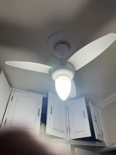 Ventilador de teto