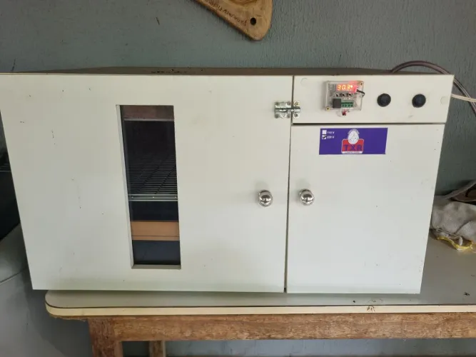 Chocadeira automática 120 ovos 