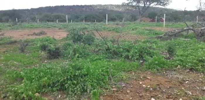 Terreno Ponta da Serra faço troca