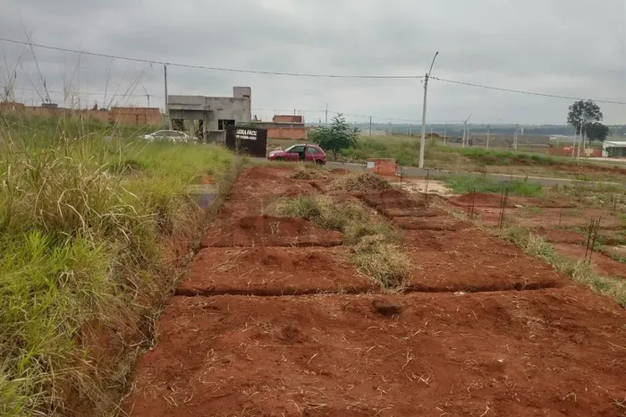 Terreno com projeto a venda Jardim dos Manacas 2