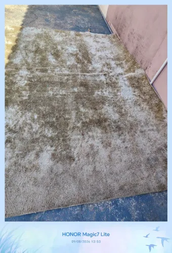 Tapete para sala