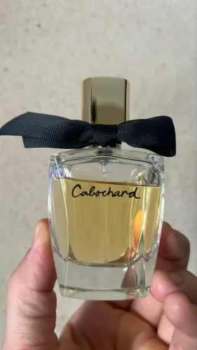 Cabochard Grés 