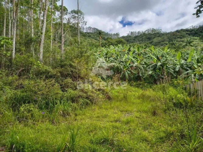 Sítio à venda com , 260.084m² em Área Rural de Biguaçu Biguaçu